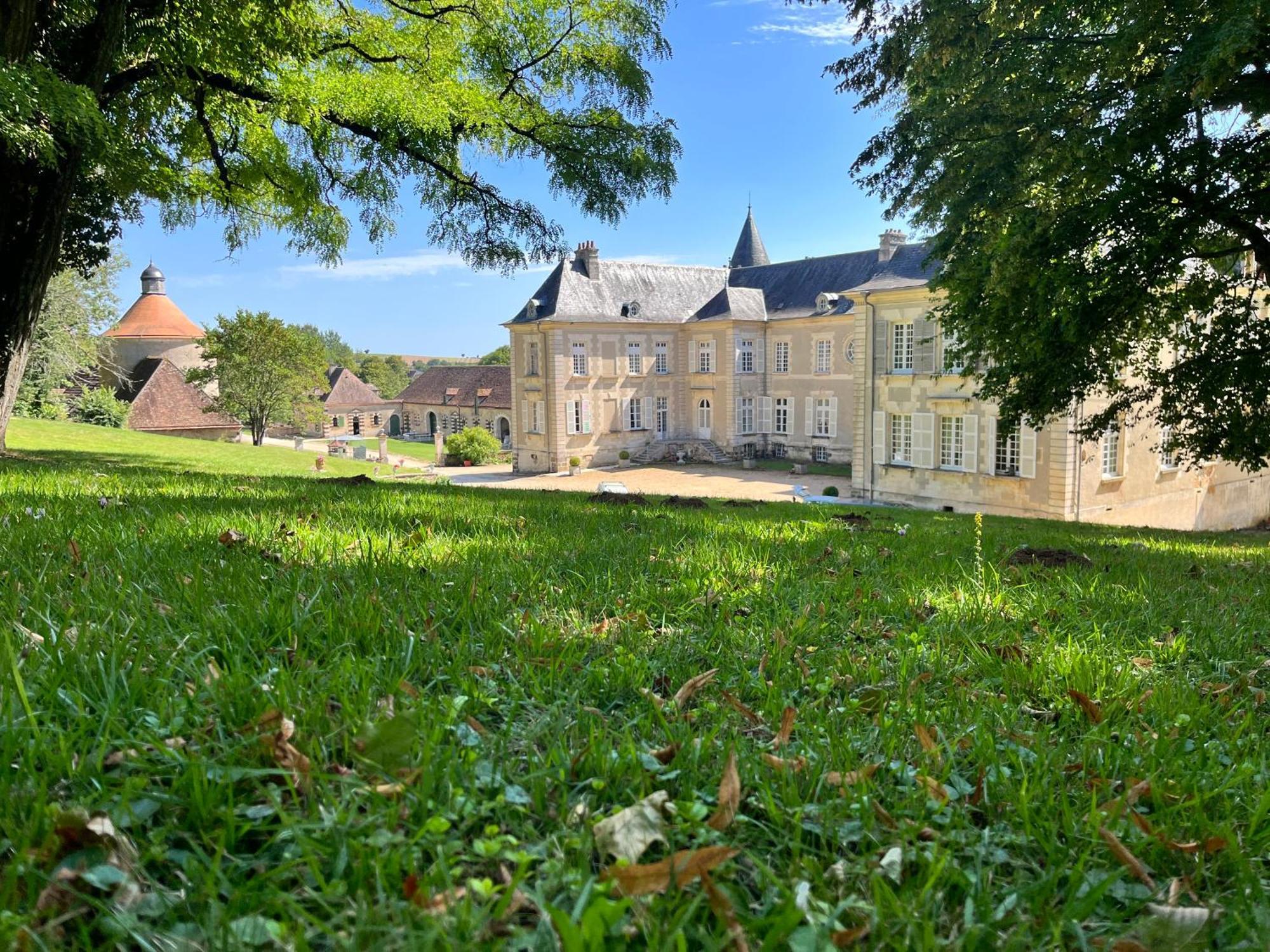 Chateau De Beaujeu Sens-Beaujeu Buitenkant foto