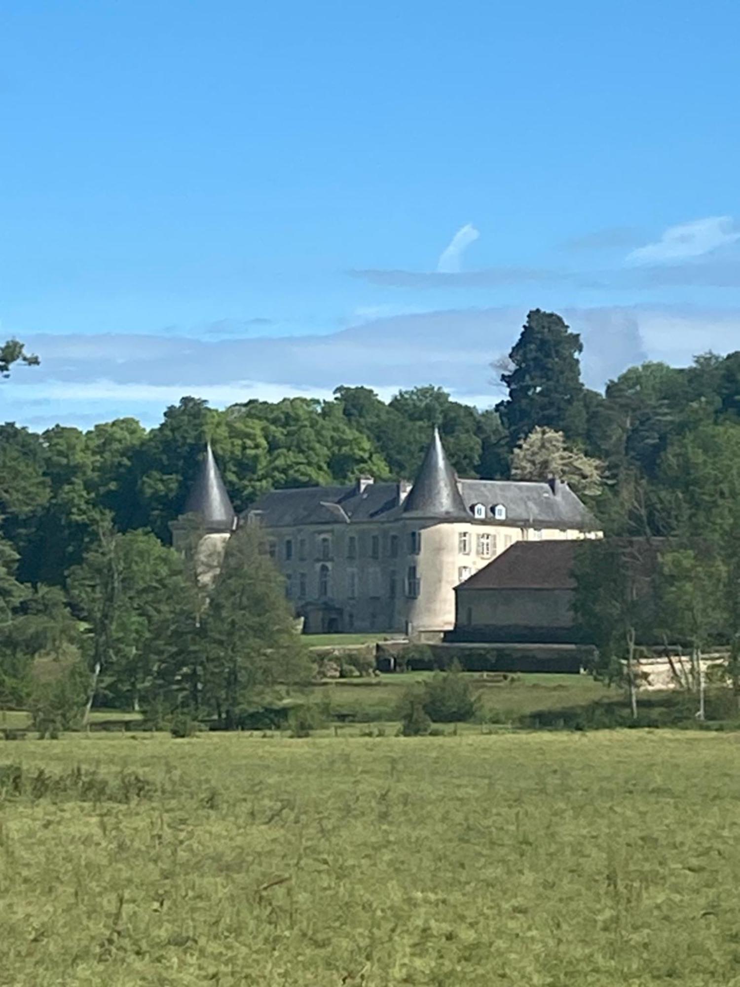 Chateau De Beaujeu Sens-Beaujeu Buitenkant foto